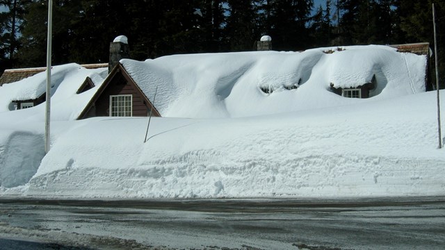 Steel Information Center covered in snow